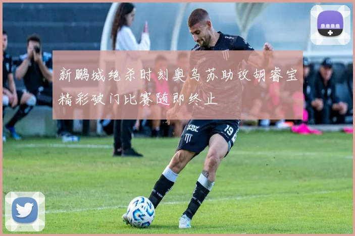 新鹏城绝杀时刻奥乌苏助攻胡睿宝精彩破门比赛随即终止